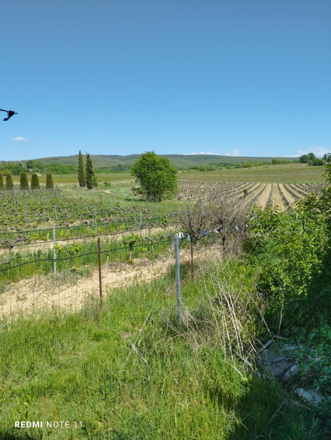 Chambre D Hotes En Provence, Au Pied Du Luberon, Les Coquelicots La Tour-d'Aigues ภายนอก รูปภาพ